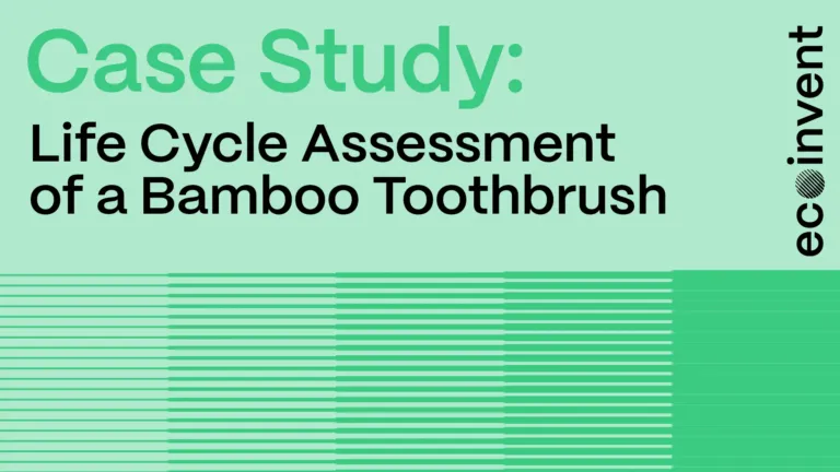 Graphic banner, green, reads: 'Case Study: Life Cycle Assessment of a Bamboo Toothbrush'