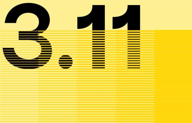 3.11 website graphic