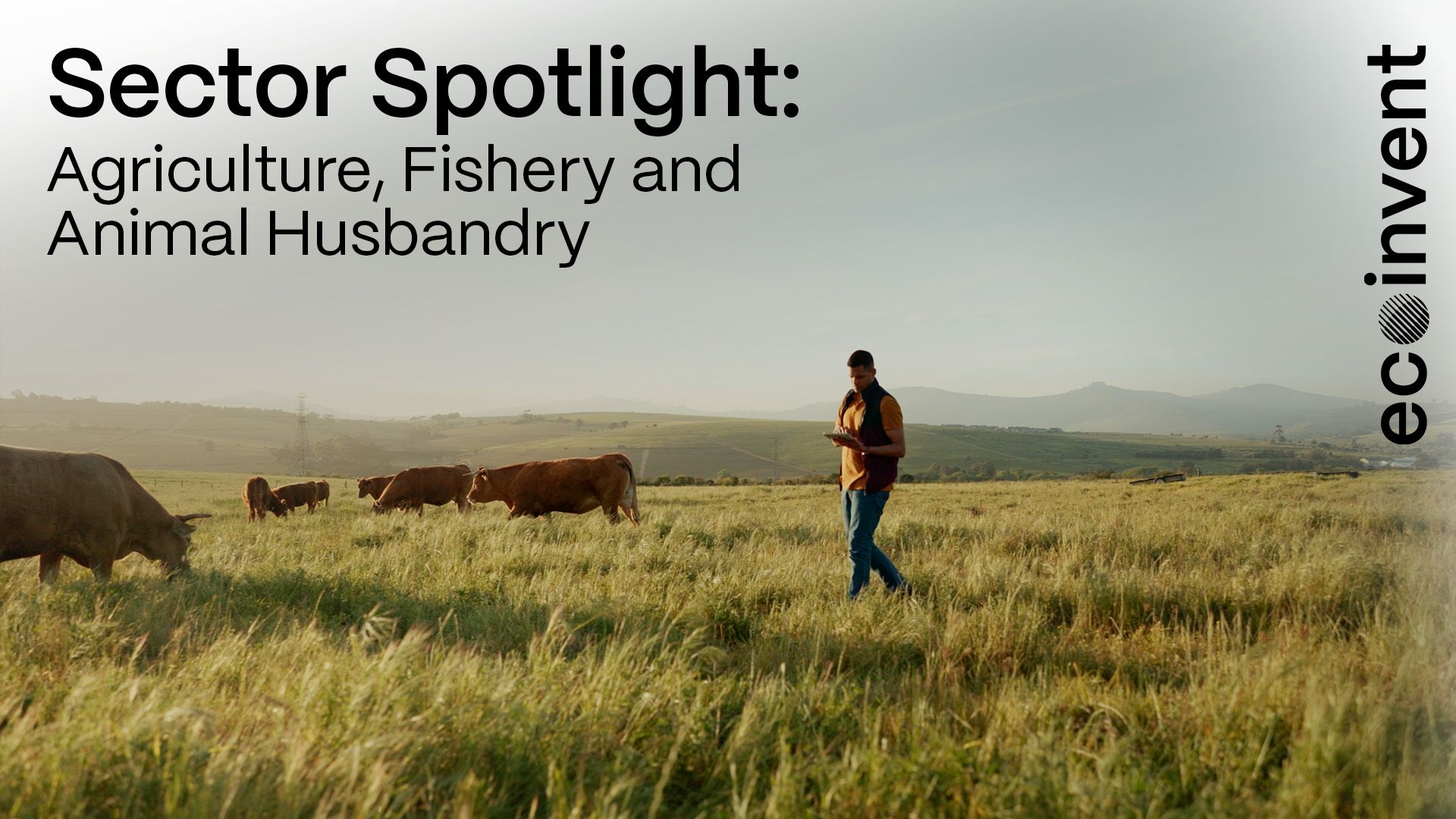 thumbnail sector spotlight agriculture
