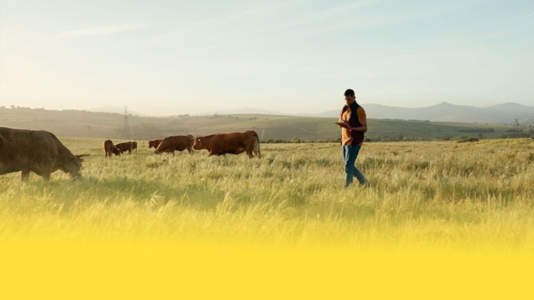 agriculture sector spotlight visual