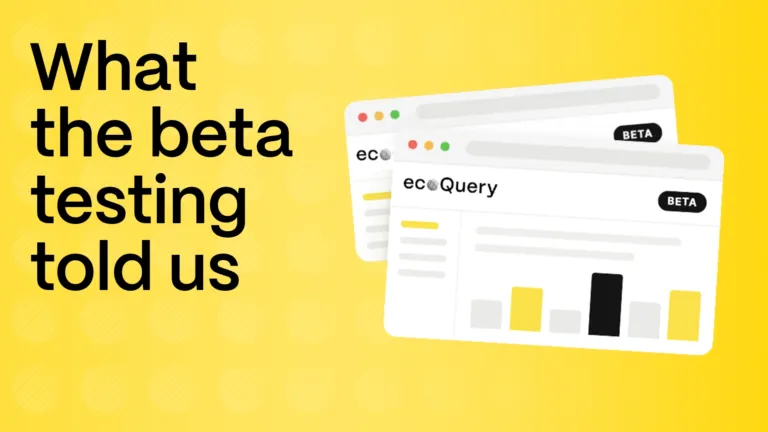 What the beta testing told us